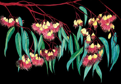 Beth Whittaker Eucalyptus blossom painting